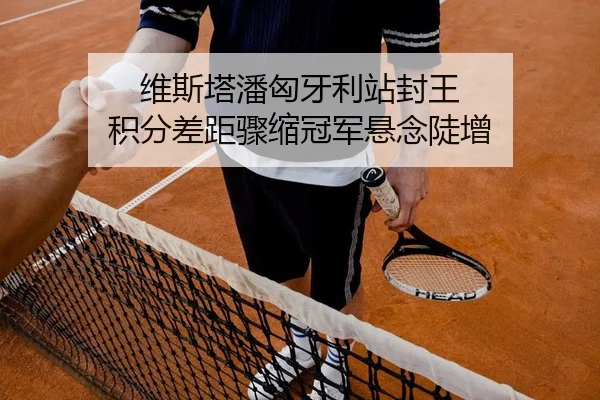 维斯塔潘匈牙利站封王 积分差距骤缩冠军悬念陡增